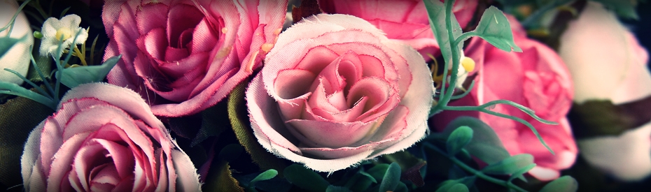 slideshow  2